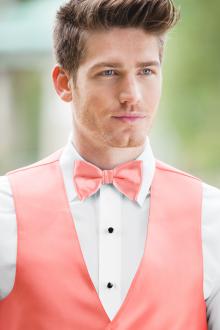 Expressions Coral Bow Tie