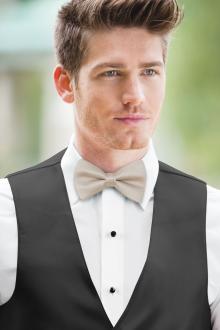 Biscotti Simply Solids Bow Tie