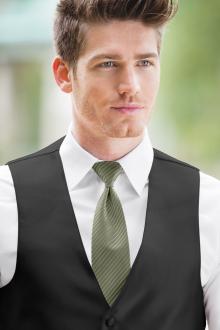 Striped Expressions Evergreen/Moss Windsor Tie
