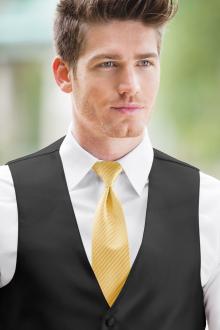 Striped Expressions Gold Windsor Tie