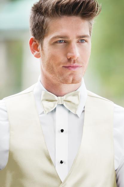Expressions Ivory Bow Tie