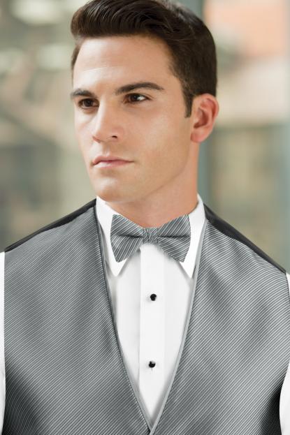Synergy Silver Bow Tie
