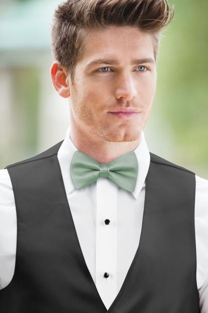Agave Simply Solids Bow Tie