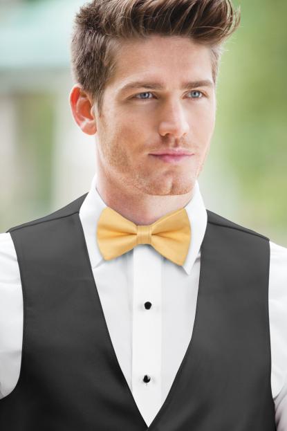 Gold Simply Solids Bow Tie