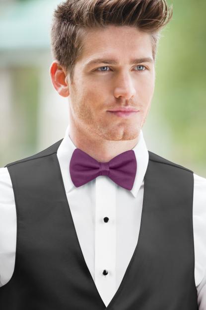 Persian Plum Simply Solids Bow Tie