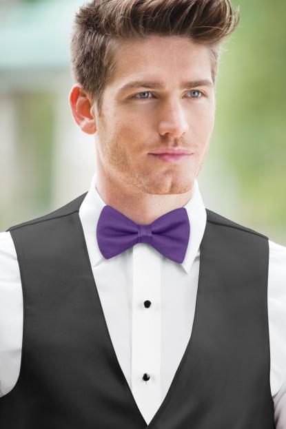 Purple Simply Solids Bow Tie