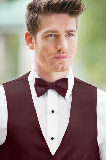 Expressions Wine Bow Tie