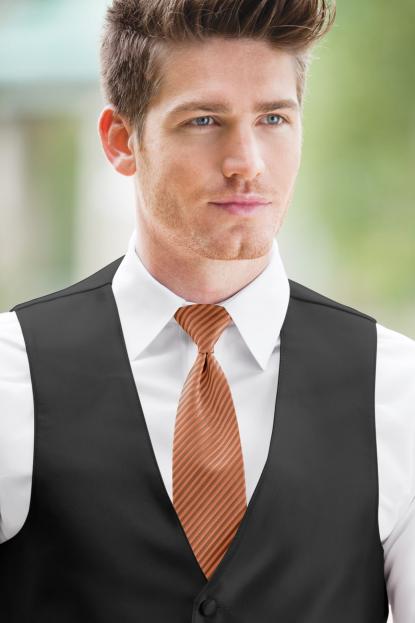 Striped Expressions Spice Windsor Tie