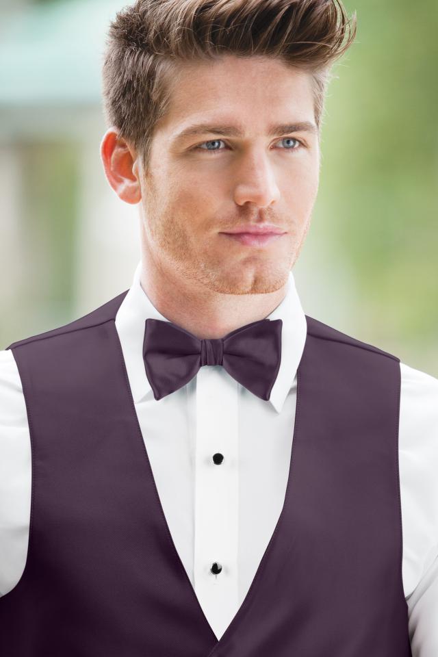 Expressions Plum Bow Tie