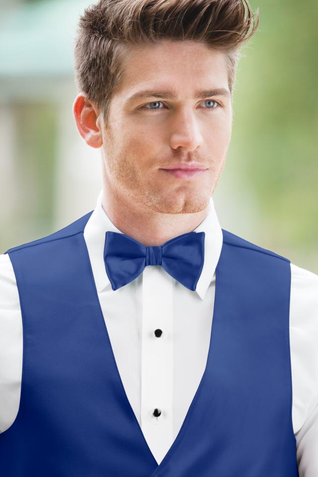 Expressions Royal Blue Bow Tie